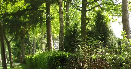 Landschapsbeheer